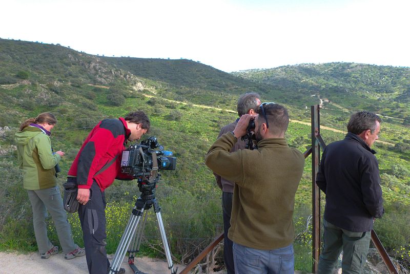 En La Lancha intentando rodar al lince