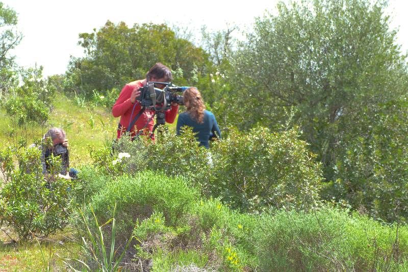 Rodando en una finca de Córdoba