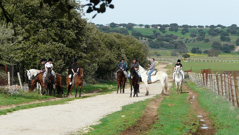 En la Finca de Valverde (Salamanca)