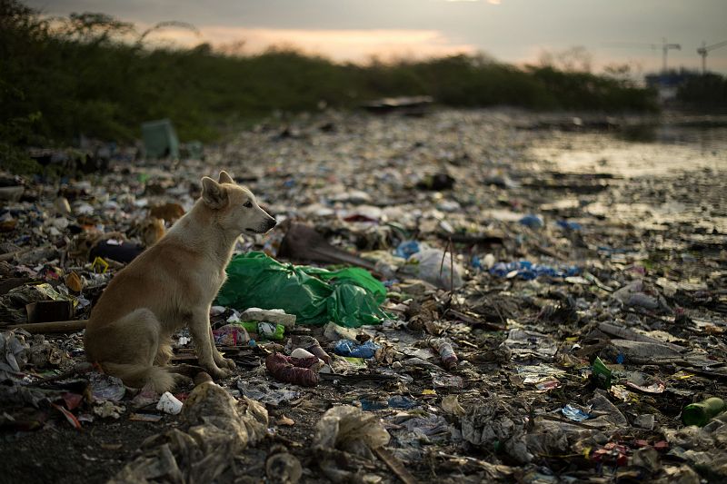 El agua de Manila, cubierta de plásticos