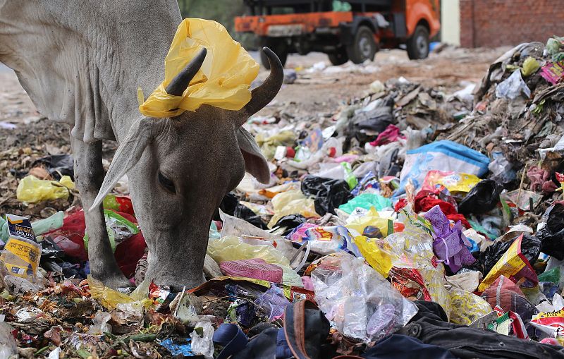 Una quincena de ciudades indias entre las más contaminadas