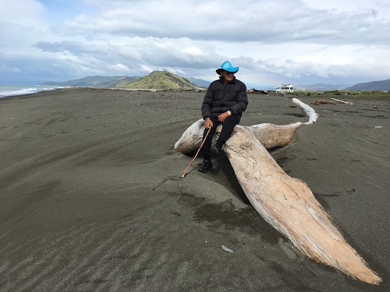 Big John se define a sí mismo como maorí y español, y es el jefe del clan de los Paniora, una familia también conocida como los "Josés" en la Isla Norte de Nueva Zelanda.