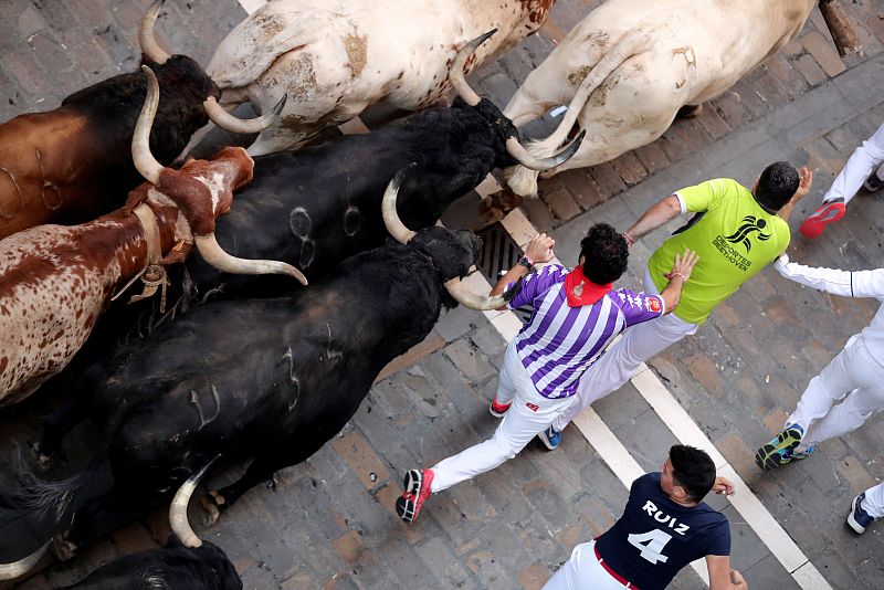 Revellers sprint in front of bulls and steers during the fourth running of the bulls of the San Fermin festival in Pamplona