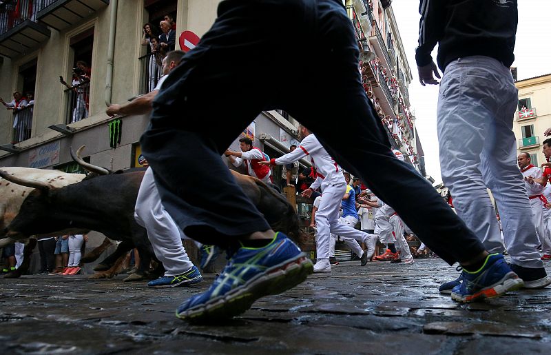 Revellers sprint in front of bulls and steers during the sixth running of the bulls of the San Fermin festival in Pamplona