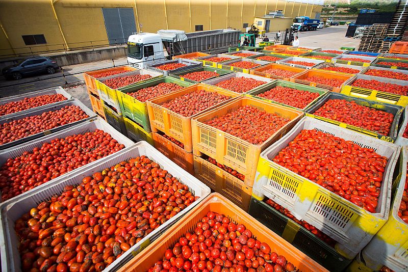 Tomates para "dar y tomar"