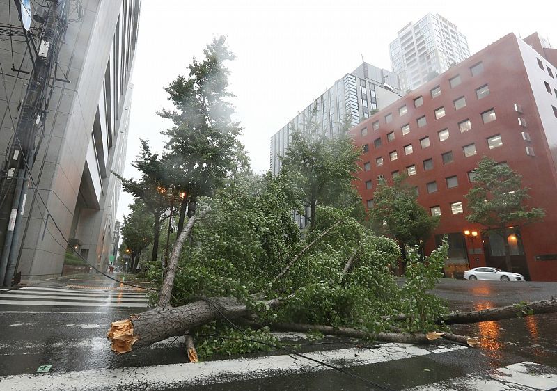 Árbol caído a consecuencia del fuerte viento en Osaka- AFP/JIJI Press