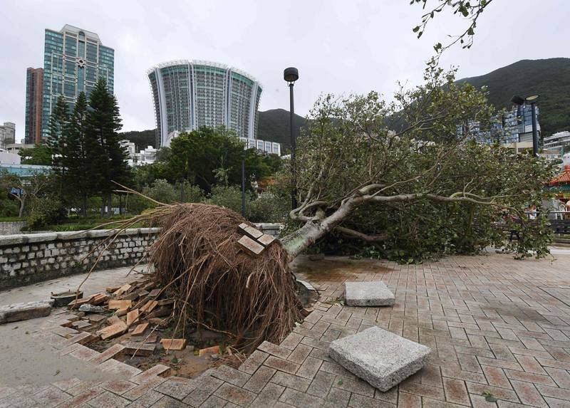 Destrozos en la bahía de Hong Kong