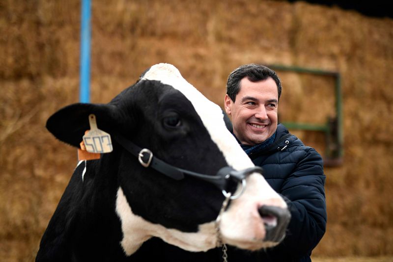 Elecciones andaluzas 2018 - Juanma Moreno, en una granja vaquera en Añora (Córdoba)