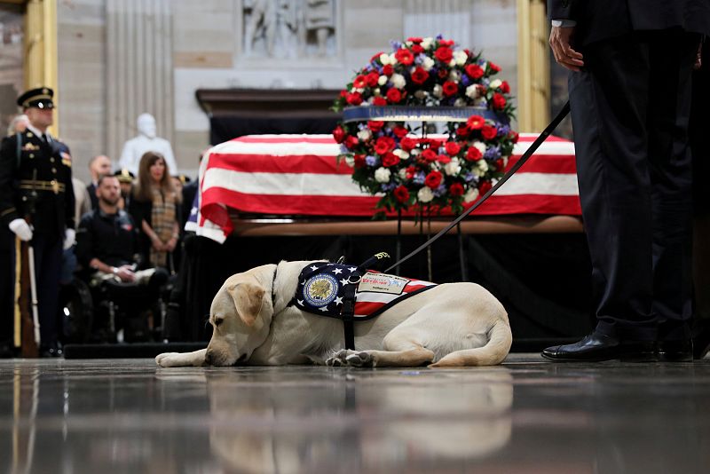 El perro guía de George H.W. Bush despide a su amo
