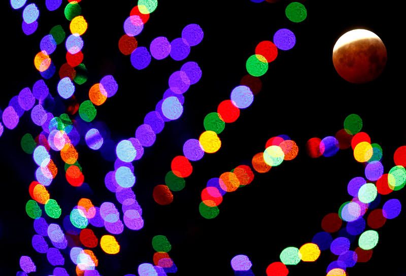 La Luna, vista a través de un árbol iluminado en Aegidienberg, cerca de Bonn (Alemania).