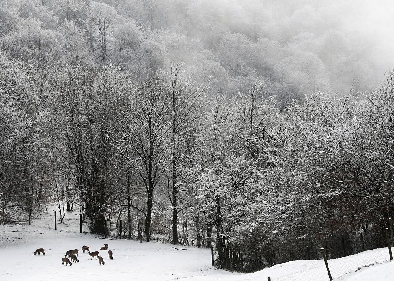 La borrasca Helena comienza a colapsar el tercio norte del país