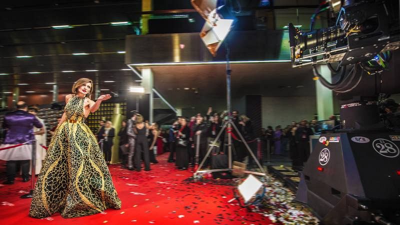 Goya 2019 - Cámara glamour. Nieves Álvarez