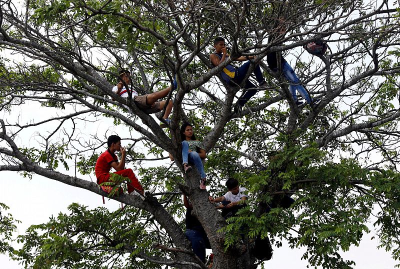 Varios jóvenes siguen el concierto 'Venezuela Aid Live' subidos a un árbol