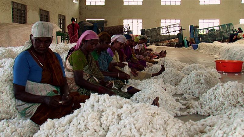 Tratando el algodón