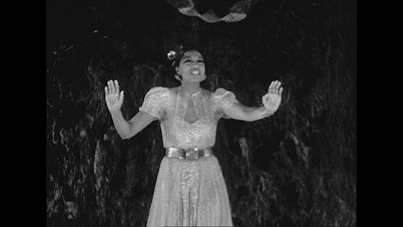 'Josephine Baker: La historia de un despertar'