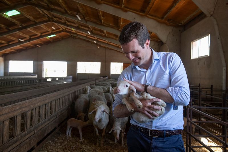 Pablo Casado, en una granja de Palencia