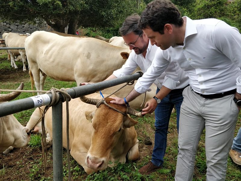 El PP hace una visita ganadera en La Palma