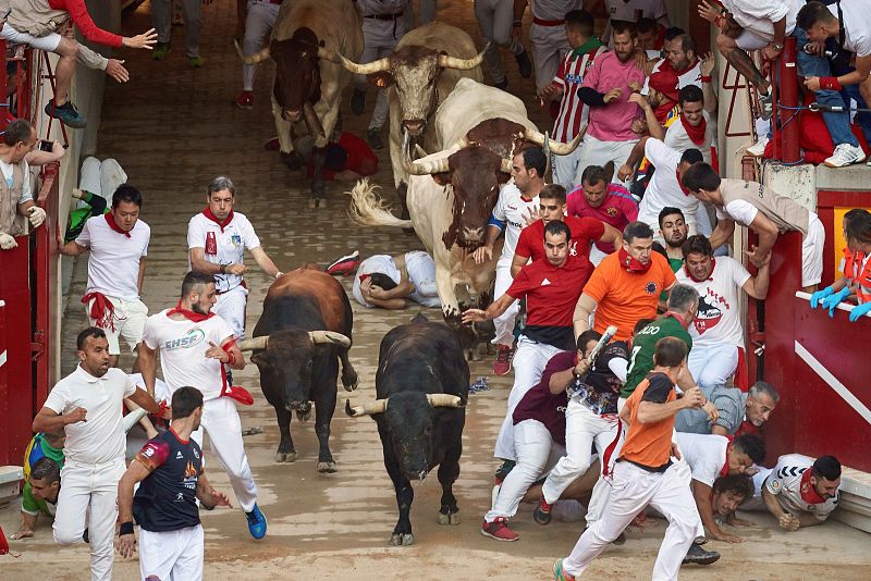 Los toros entran en la plaza