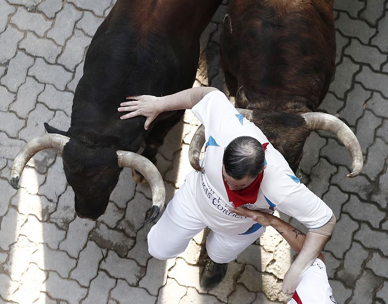 Los toros de la ganadería de La Palmosilla, de Tarifa (Cádiz), a su paso por el tramo del callejón