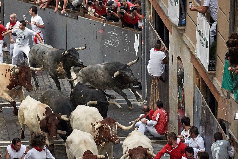 Los toros de la ganadería sevillana de Miura, a su paso por el inicio del tramo de la Estafeta.