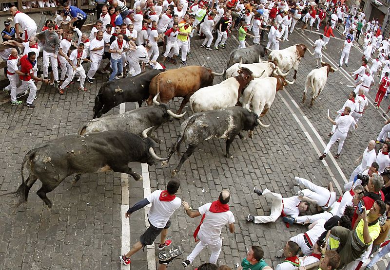 Los toros de la ganadería sevillana de Miura, a su paso por la Plaza Consistorial.