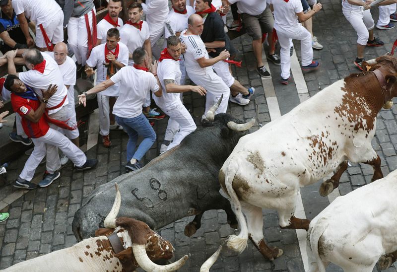 Los toros de la ganadería sevillana de Miura, a su paso por la Plaza Consistorial.