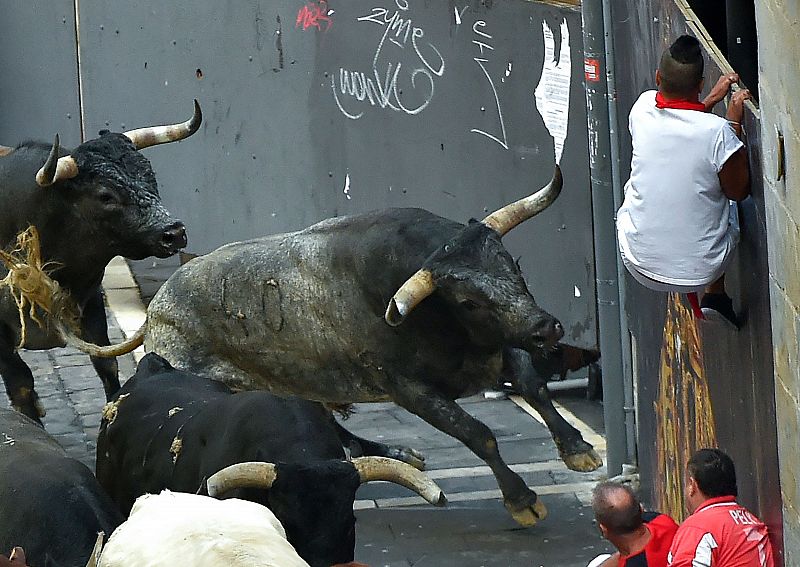 Un participante se sube a una de las vallas para evitar la embestida de los toros.