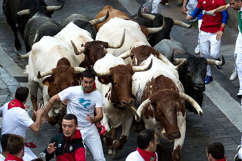 Los participantes corren junto a los Miura en el último encierro de los Sanfermines 2019.