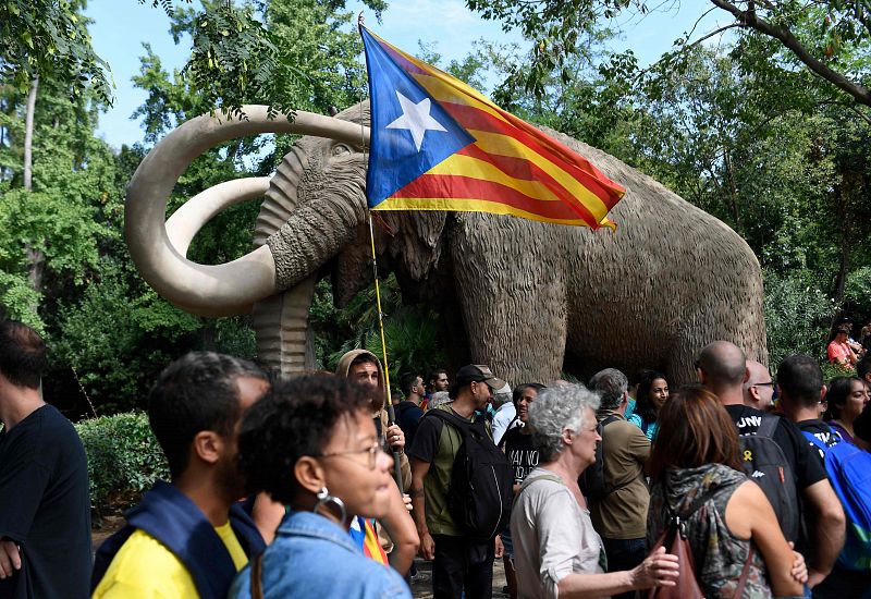 Diada 2019 - Esteladas en la Ciutadella de Barcelona