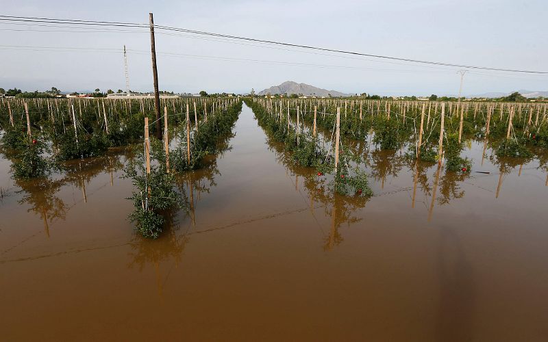 Un campo anegado en Dolores