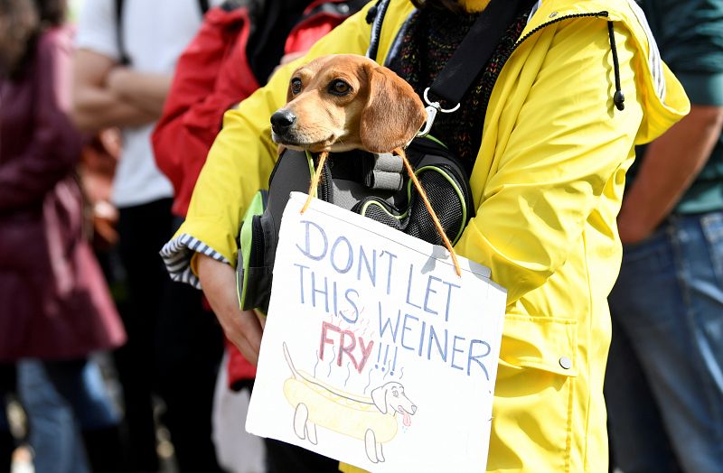 "No permitas que este perrito se fría", dice el cartel que este activista perruno lleva en la manifestación contra el cambio climático celebrada en La Haya.