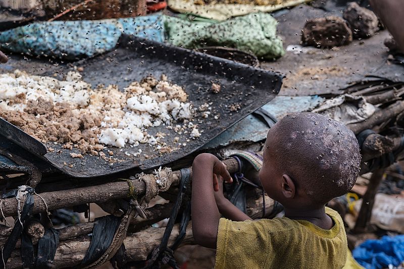 La comida escasea y los insectos lo invaden todo, causando numerosas infecciones a los más débiles