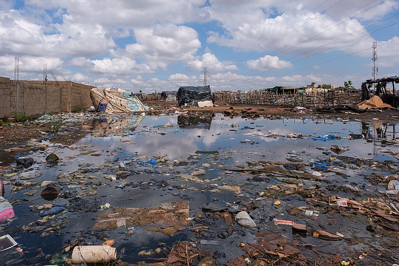 Con la temporada de lluvias los insectos (sobre todo las moscas negras), ratas y cucarachas proliferan