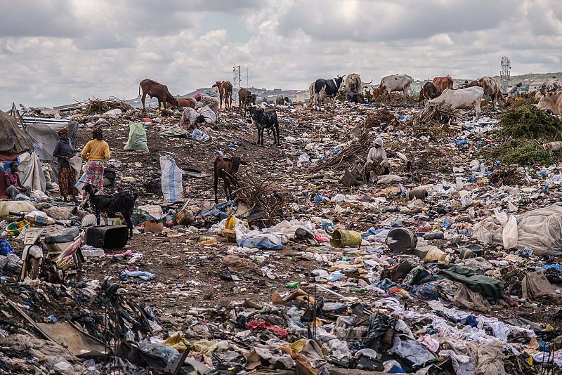 Animales y personas rebuscan en la basura de este vertedero, donde sobreviven 600 niños y 200 mujeres