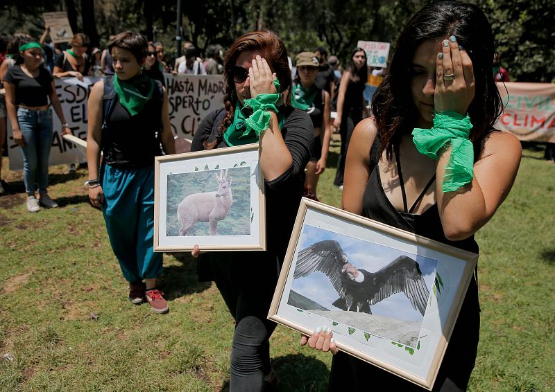 Organizaciones medioambientales se unen a la manifestación