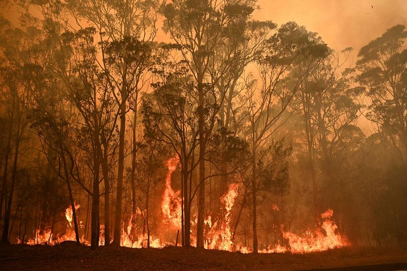 Las llamas devoran un bosque en la ciudad de Moruya