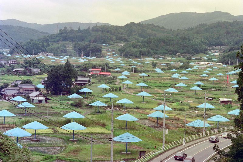  En esta foto de archivo tomada el 09 de octubre de 1991, se encuentran sombrillas gigantes en los arrozales de la aldea de Jimba en Hitachi-Ota, a unos 120 km al norte de Tokio. 