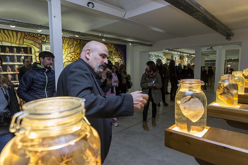 ExposiciÃ³ L'Arbre de la menja Marcelaxia