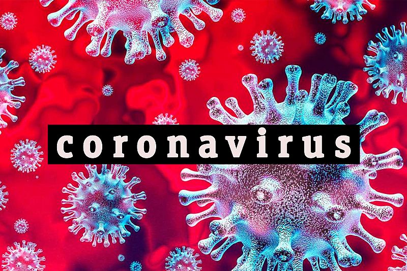 coronavirus, neologisme de l'any 2020