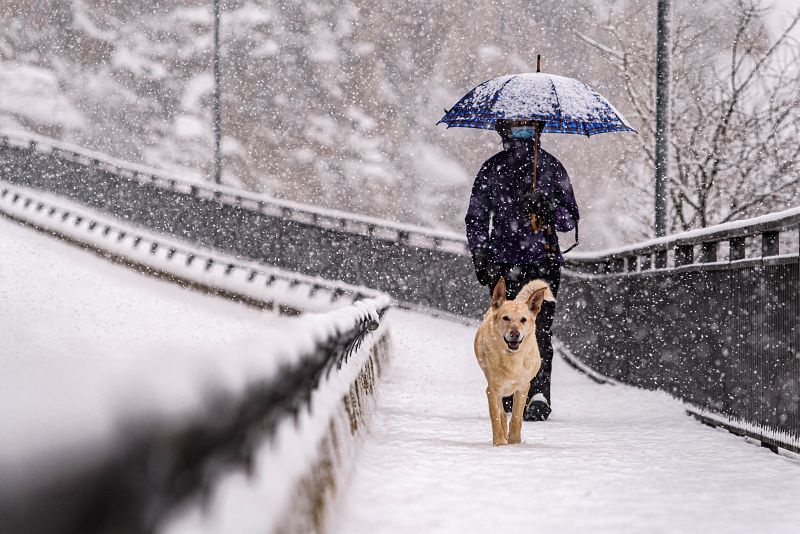 Un hombre pasea con su perro en Toledo.