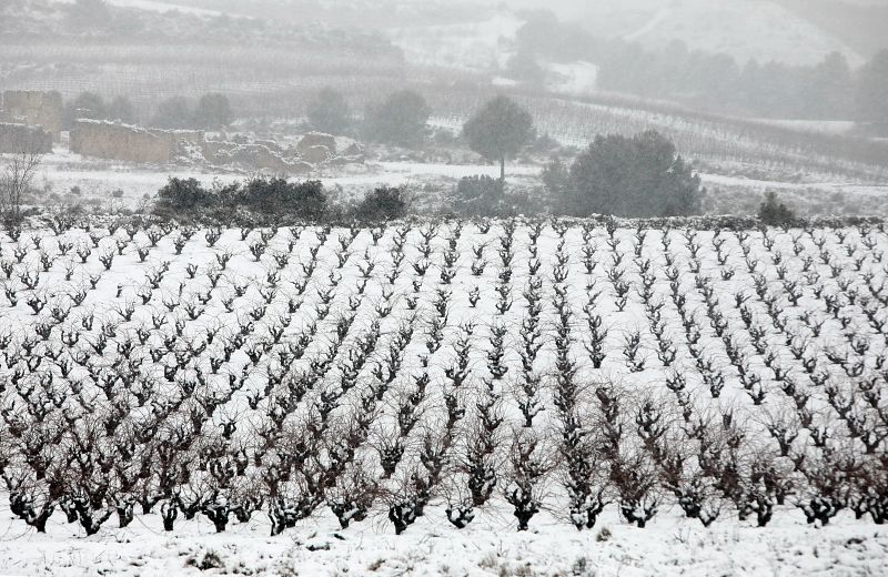 Campo nevado en Requena, Valencia