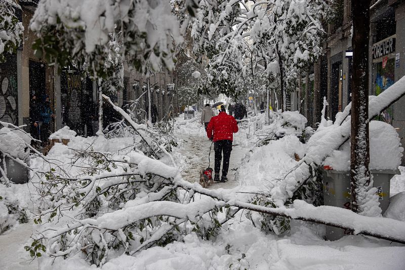 Arboles y la iluminación de Navidad no han resistido el peso de la nieve en Madrid