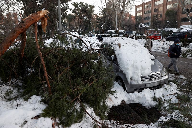 Madrid suspende indefinidamente el acceso a parques por caída de árboles