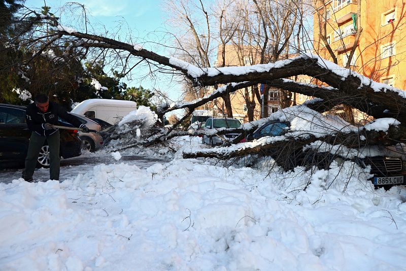 Un hombre intenta limpiar una calle en la que se ha caído un árbol