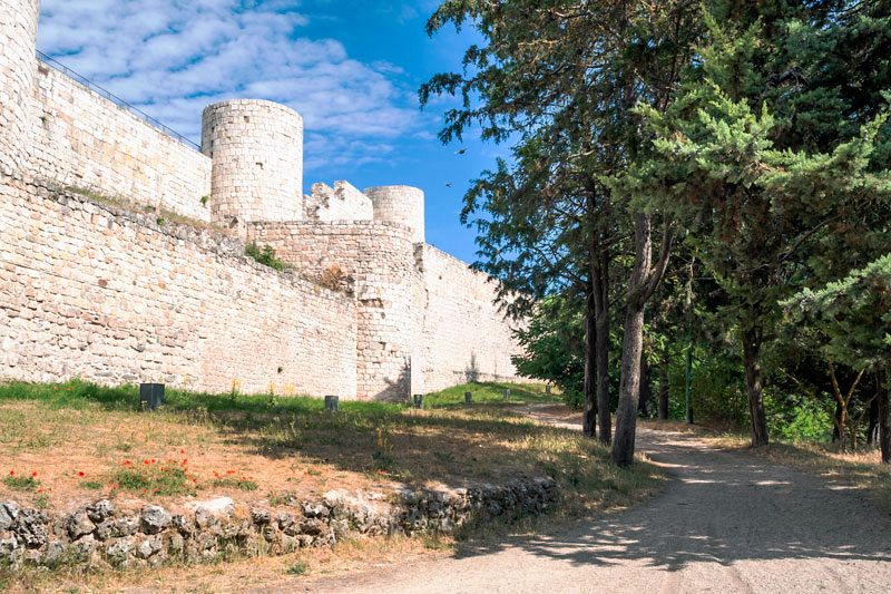 Castillo de Burgos.