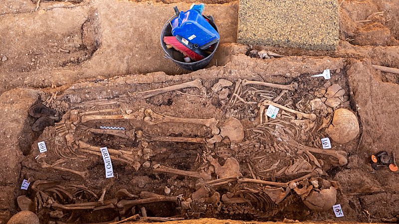 Restos óseos de la fosa común de Pico Reja en el cementerio de San Fernando de Sevilla.