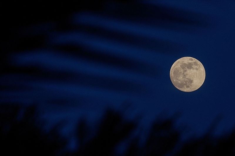 La 'luna de las flores' elevándose detrás de los árboles sobre el mar Mediterráneo, en Roca Llisa en la isla española de Ibiza.