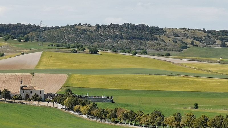 Atlas de lo pequeño