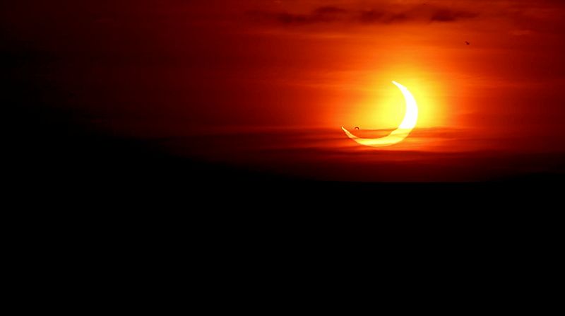 Pájaros volando por delante del eclipse parcial de Sol en St. Catharines, Ontario, Canadá.