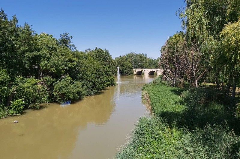 Río Carrión a su paso por Palencia.